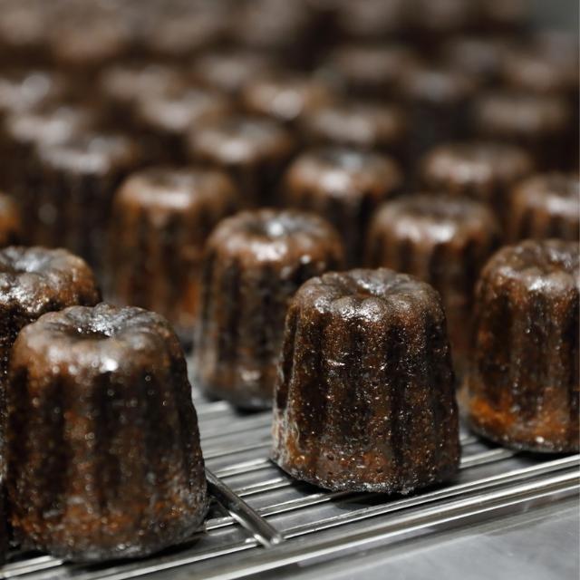 tos-maliva-i-o3syd03w52-us/d3622bd61d234c52a1d9467a38c4df39