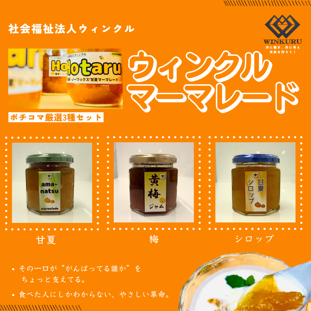 ひと夏のてしごと果実便　社会福祉法人ウィンクル　あるば製造マーマレード　3種セット（甘夏マーマレード・梅ジャム・甘夏シロップ）