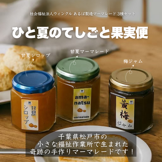 ひと夏のてしごと果実便　社会福祉法人ウィンクル　あるば製造マーマレード　3種セット（甘夏マーマレード・梅ジャム・甘夏シロップ）